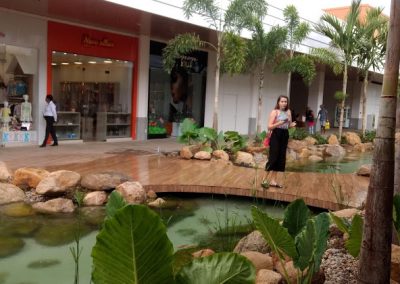 Shopping-Carpina-ACM